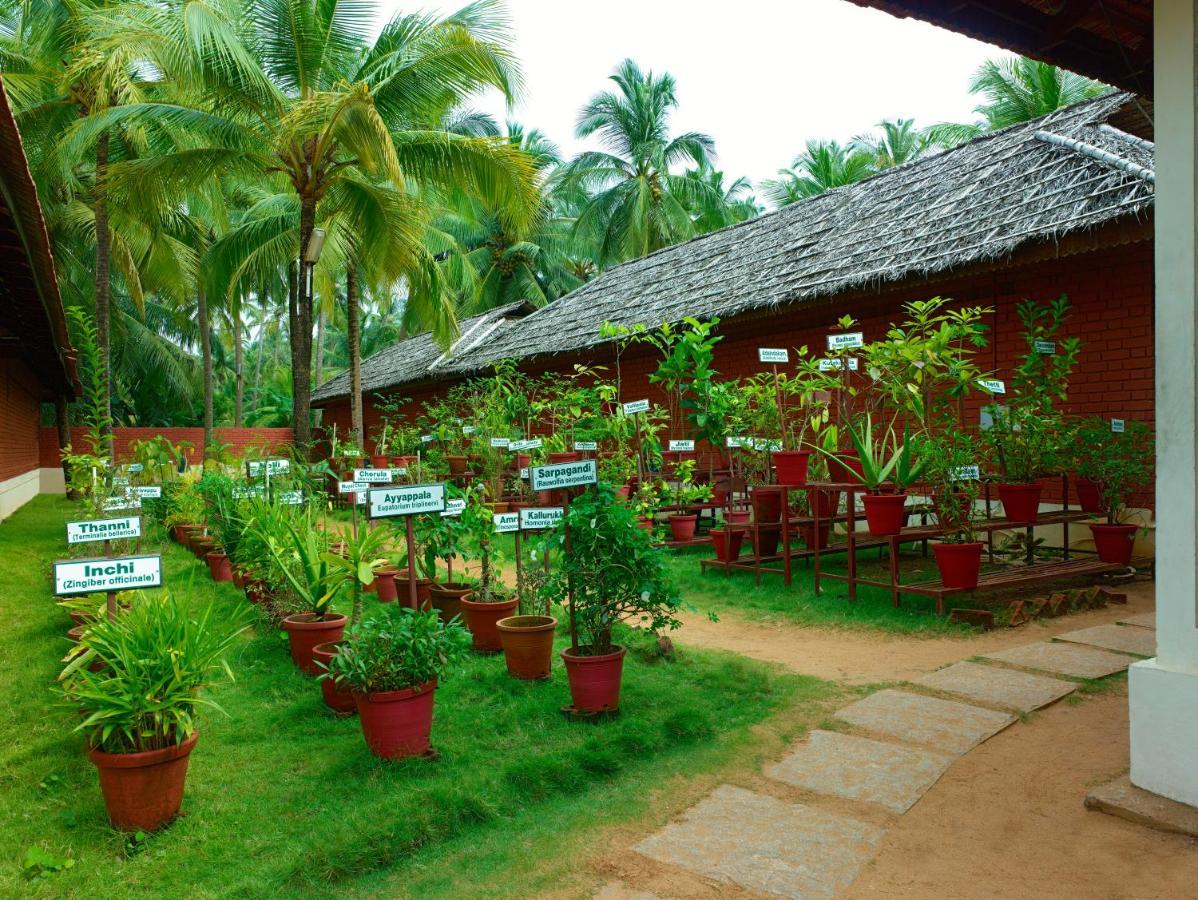 The Nattika Beach Resort Thrissur Extérieur photo